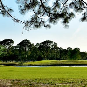 Play the best North Myrtle Beach Golf Course, Azalea Sands