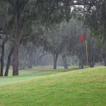 Golfing in the Rain